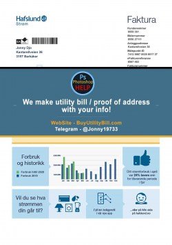 Norway Electricity Utility Bill Sample